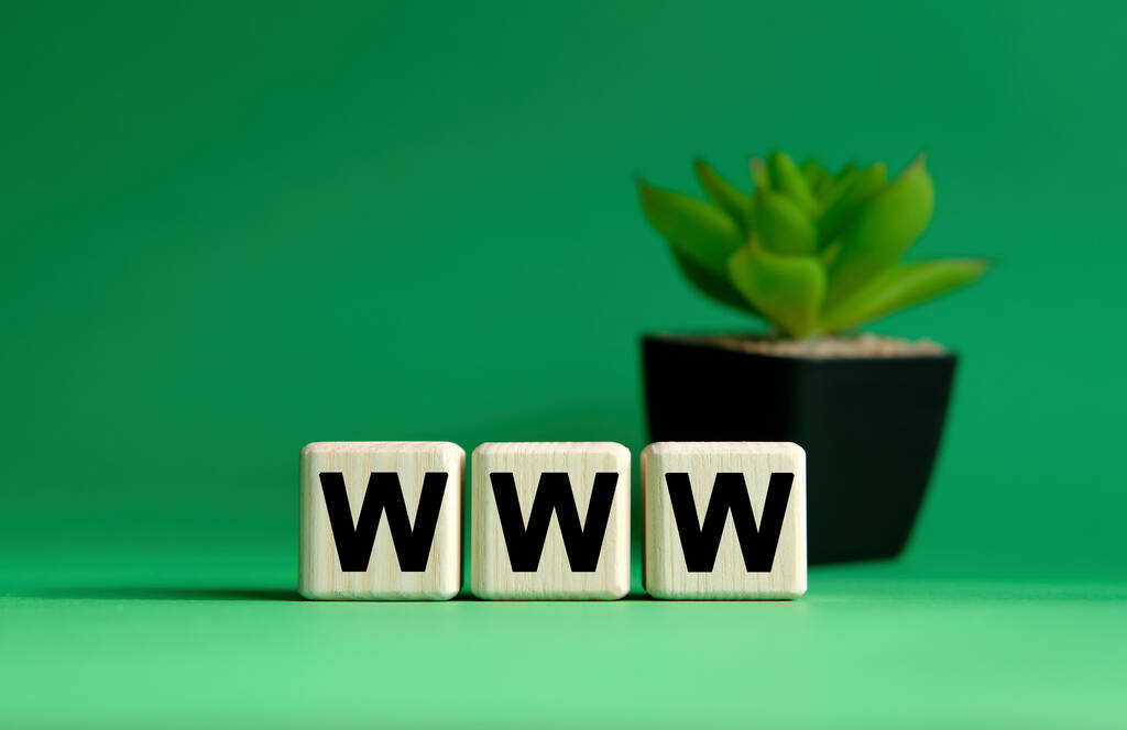 WWW - business concept on a green background. Wooden cubes and flower in a pot. - Photo, Image