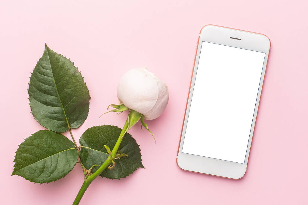 Handy und weiße Rosen auf pastellrosa Hintergrund mit Copyspace. Urlaub und Liebe Artikel von oben - Foto, Bild