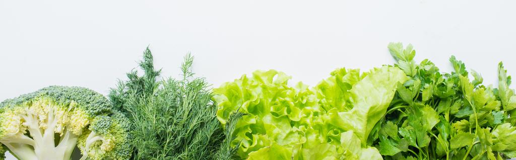 borde de perejil verde fresco, eneldo, brócoli y lechuga aislados en blanco, plano panorámico - Foto, imagen
