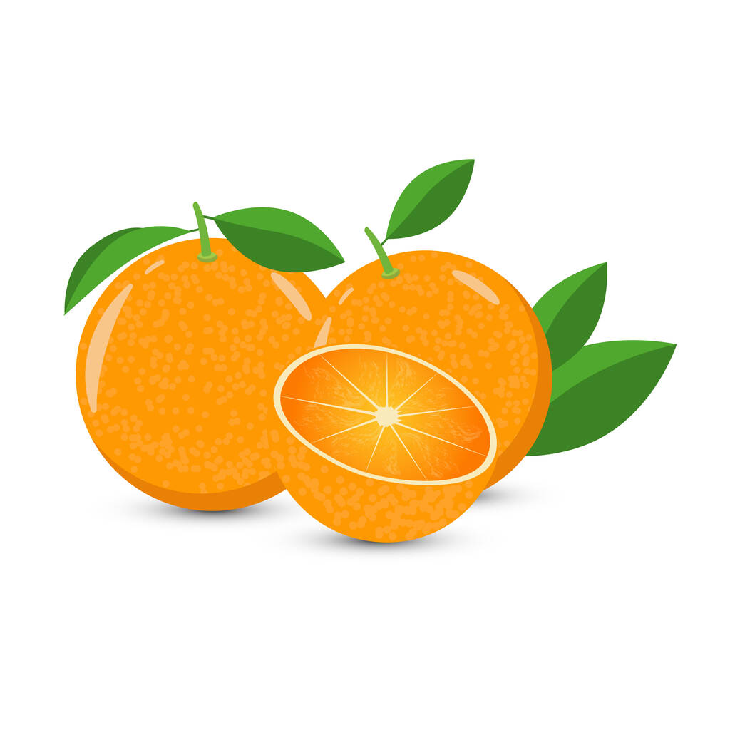 Διάνυσμα σύνθεση ολόκληρου και μισού πορτοκαλιού διακοσμημένο με πράσινα φύλλα σε λευκό φόντο. - Διάνυσμα, εικόνα