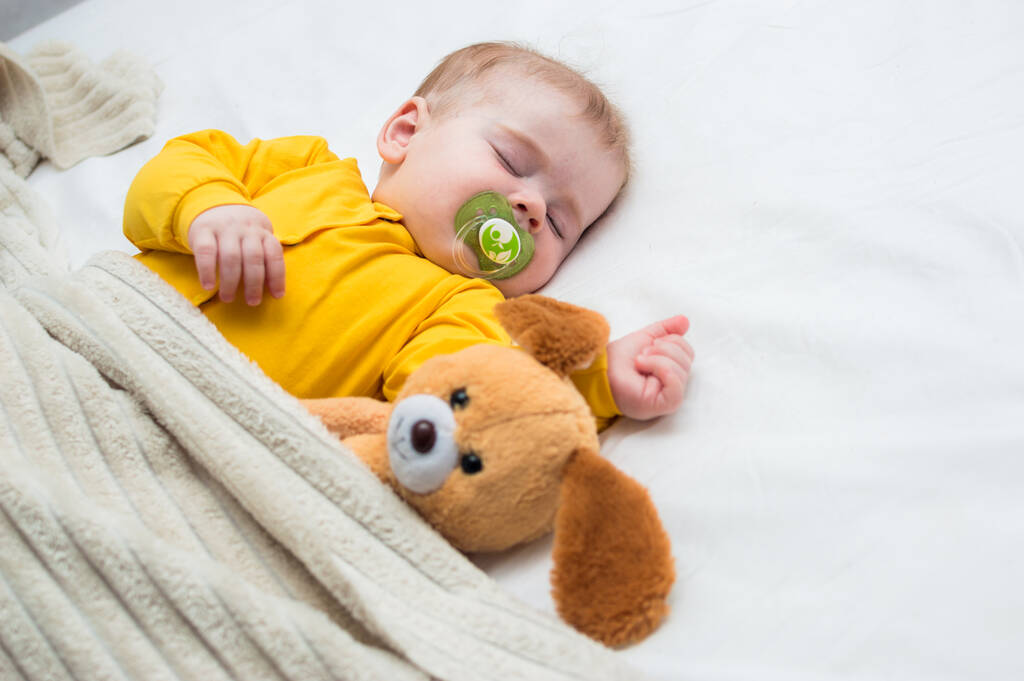Close-up portrait of a sleeping kid in an embrace with a toy and a pacifier in his mouth. - Photo, Image