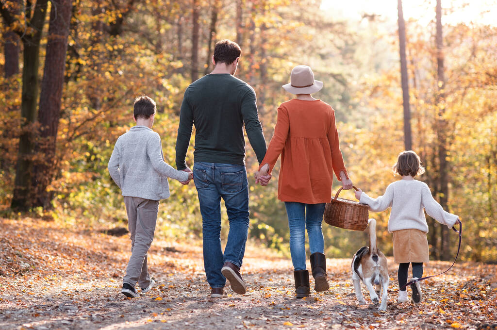 Vue arrière de la jeune famille avec petits enfants et chien lors d'une promenade dans la forêt d'automne. - Photo, image