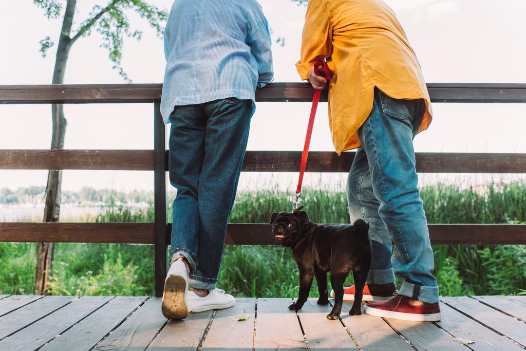 Rajatut näkymät mopsi koira katselee kameraa lähellä vanhusten pari seisoo sillalla puistossa  - Valokuva, kuva
