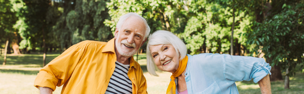 Панорамный снимок улыбающейся пожилой пары, смотрящей на камеру в парке  - Фото, изображение