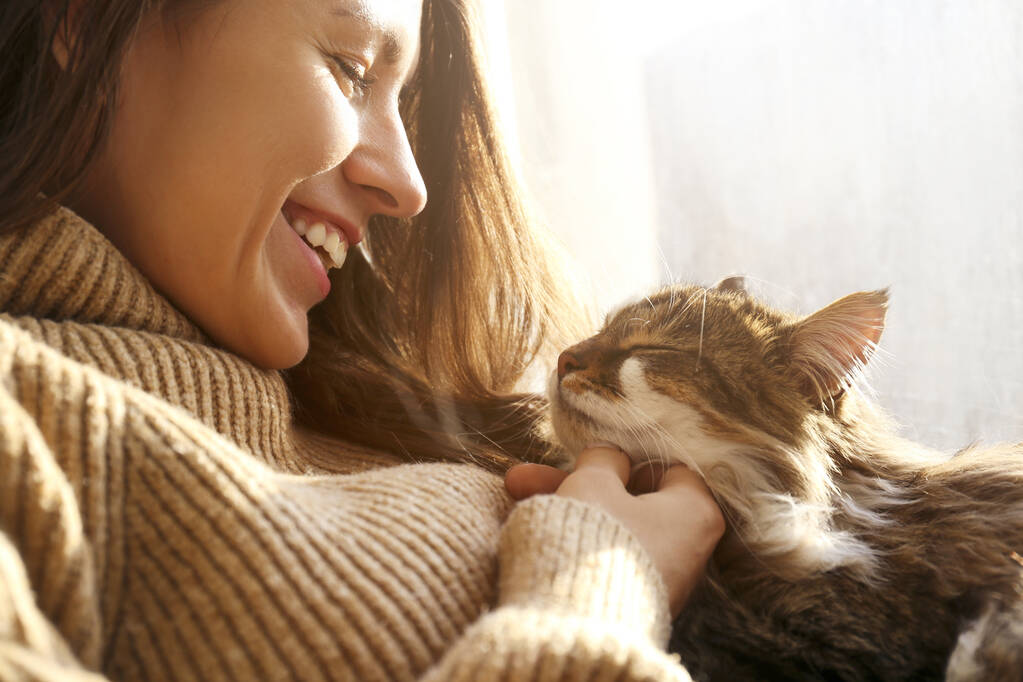 Portret van een jonge vrouw met schattige Siberische kat met groene ogen. Vrouw knuffelen haar schattige lange haar kitty. Achtergrond, kopieerruimte, close-up. Schattig huisdier concept. - Foto, afbeelding