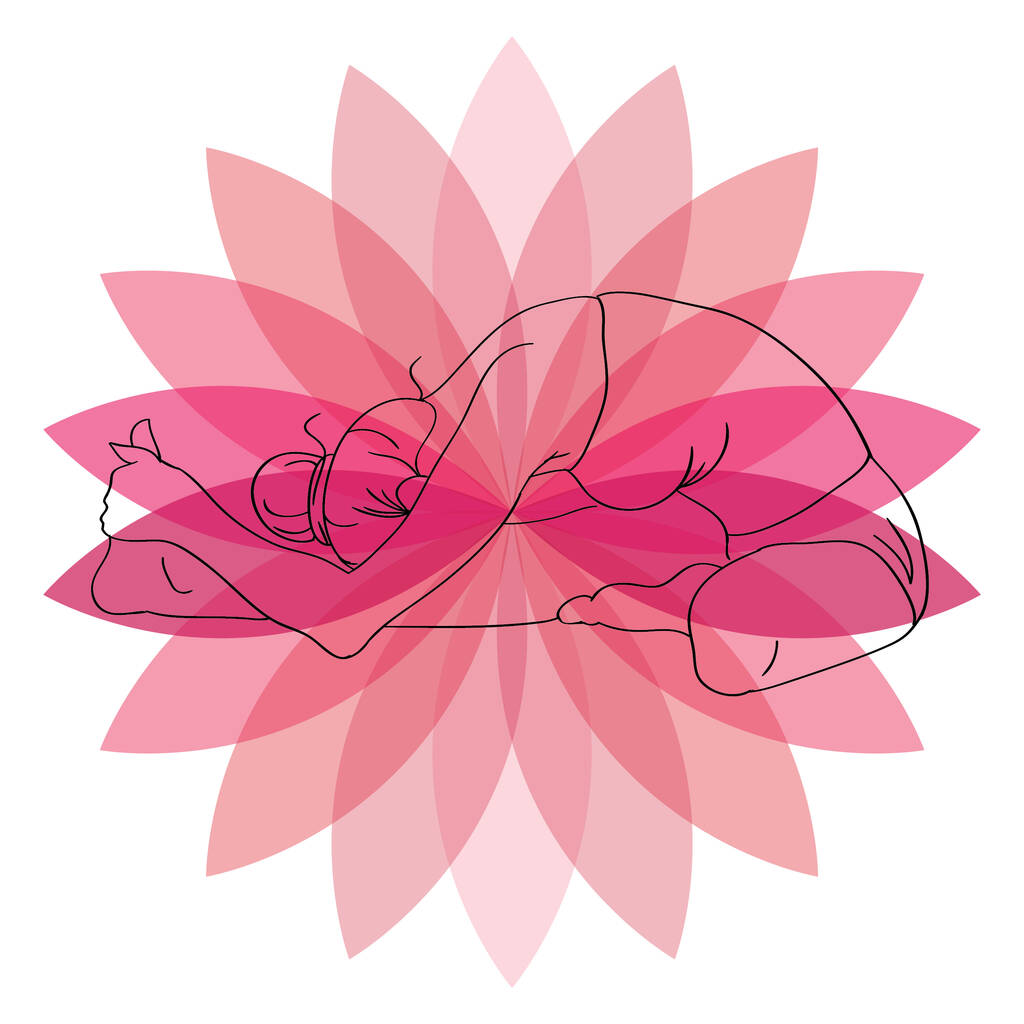 Nilüfer çiçeği ve vadi zambağı - Vektör, Görsel