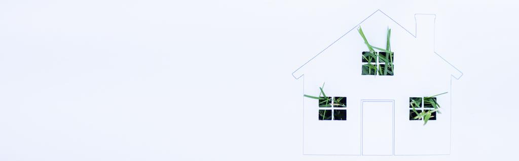 Foto panorámica de casa dibujada con hierba verde sobre fondo blanco, concepto de ecología - Foto, imagen