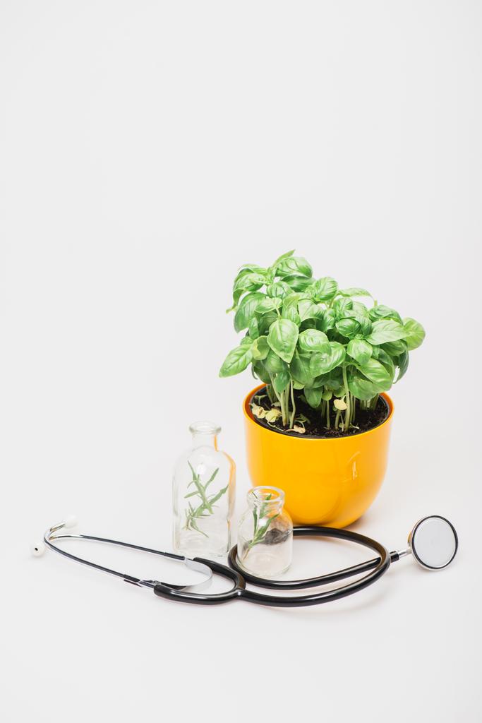 zelená rostlina v květináči v blízkosti bylin ve skleněných lahvích a stetoskop na bílém pozadí, naturopatie koncept - Fotografie, Obrázek