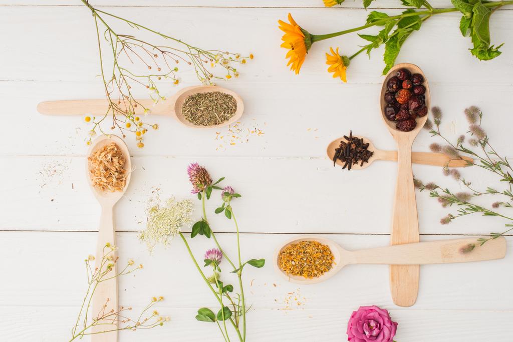 top view of herbs in spoons and flowers on white wooden background, naturopathy concept - Photo, Image