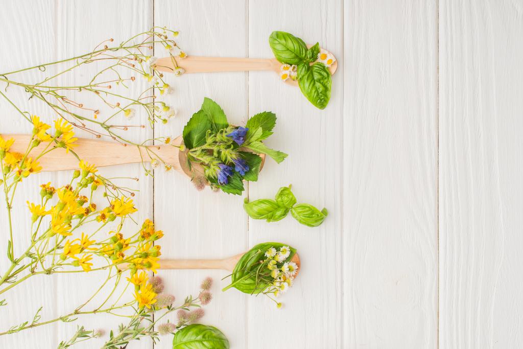 top view of herbs and green leaves in spoons near flowers on white wooden background, naturopathy concept - Photo, Image