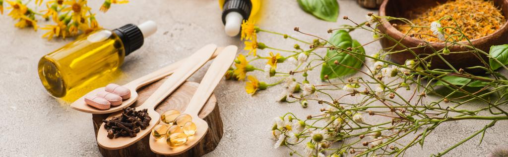 panoramic shot of wildflowers, herbs, bottles and pills in spoons on concrete background, naturopathy concept - Photo, Image