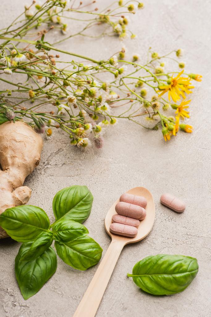 gyógynövény, zöld levelek, gyömbér gyökér és tabletták fából készült kanál beton háttér, naturopathy koncepció - Fotó, kép