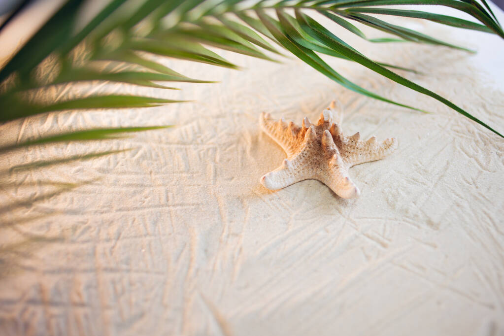 Tropická pláž Zelený palmový list a osamělá hvězdice leží na bílém jemném písku. tapeta plochy. - Fotografie, Obrázek