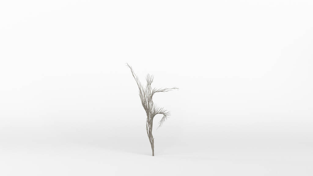 İnsan şeklinde büyüyen bir ağaç. Eko kavramı. 3B görüntüleme. - Fotoğraf, Görsel