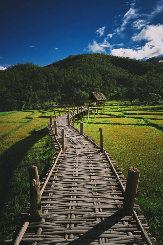 Bambusbrücke über Reisfelder - Foto, Bild