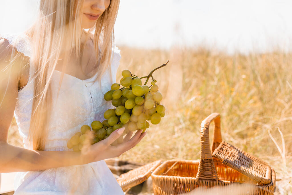 gedeeltelijk uitzicht op blonde vrouw in witte jurk houden bos van rijpe druiven in de buurt rieten mand - Foto, afbeelding