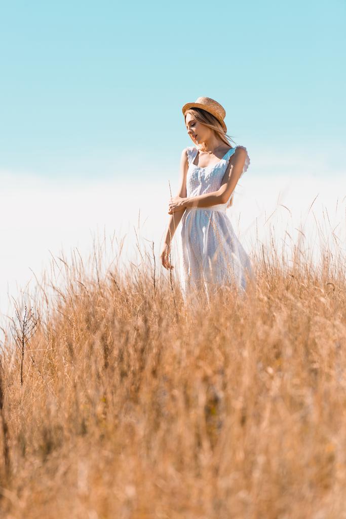 selective focus of young woman in white dress and straw hat looking away while standing on grassy hill - Photo, Image