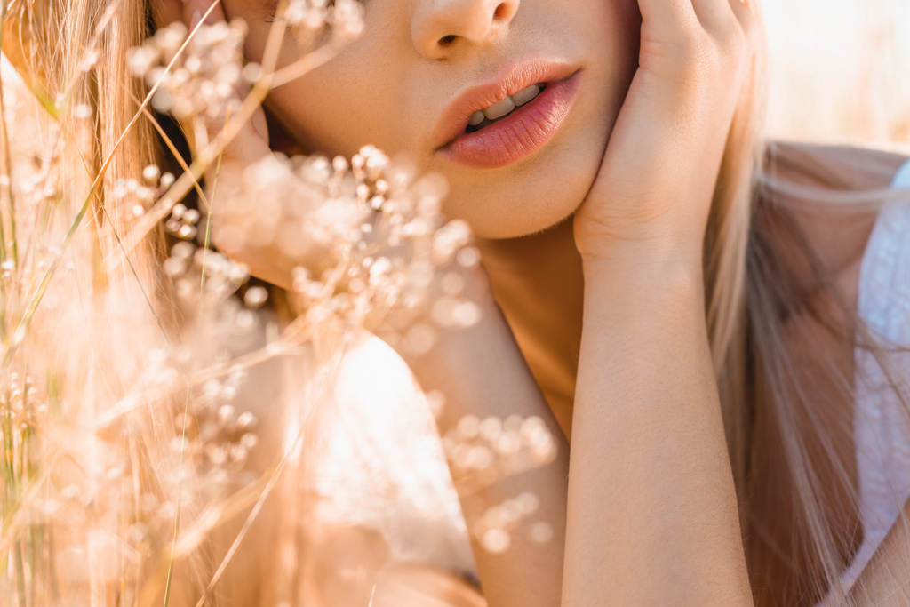 oříznutý pohled mladé ženy dotýkající se obličeje v blízkosti divokých květin, selektivní zaměření - Fotografie, Obrázek