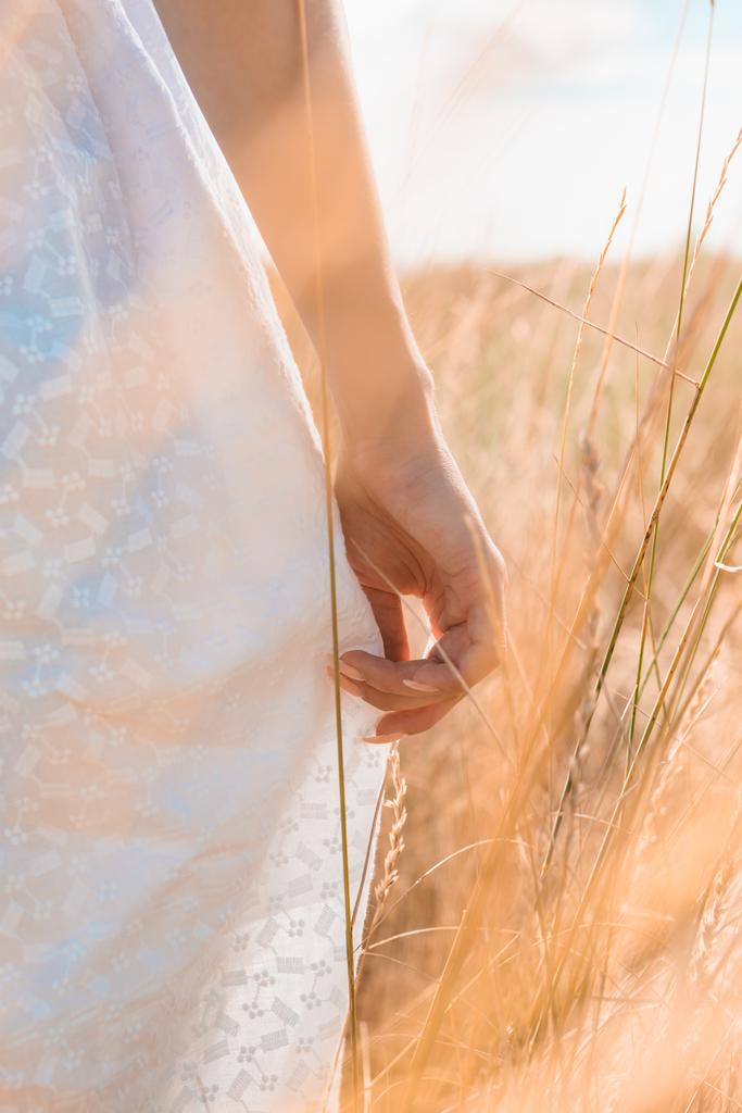 περικοπή άποψη της γυναίκας αγγίζοντας λευκό καλοκαιρινό φόρεμα, ενώ στέκεται στο πεδίο - Φωτογραφία, εικόνα