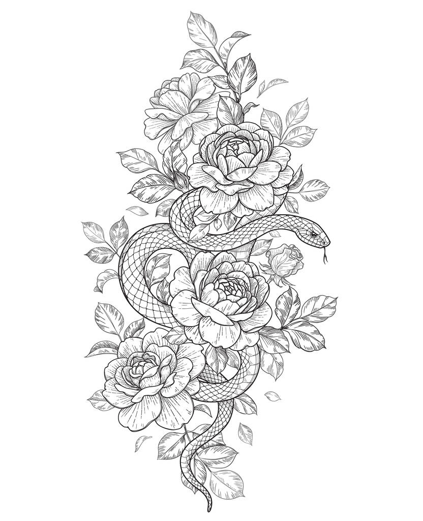 Ručně kreslený had a růže izolované na bílém. Vektorový jednobarevný had s květinami a listy. Květinová svislá ilustrace ve stylu vinobraní, design trička, tetování, barevná stránka. - Vektor, obrázek