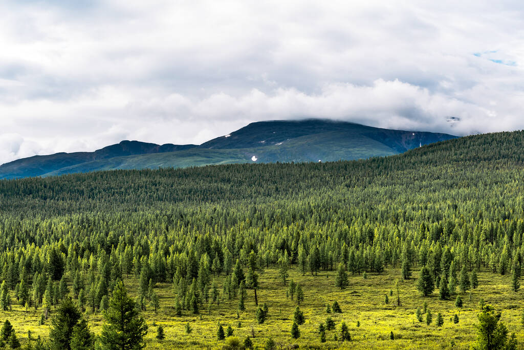 Pohled na hory a taigu z Ulaganského průsmyku. Ulagansky district, Altai Republic, Southern Siberia, Russia - Fotografie, Obrázek