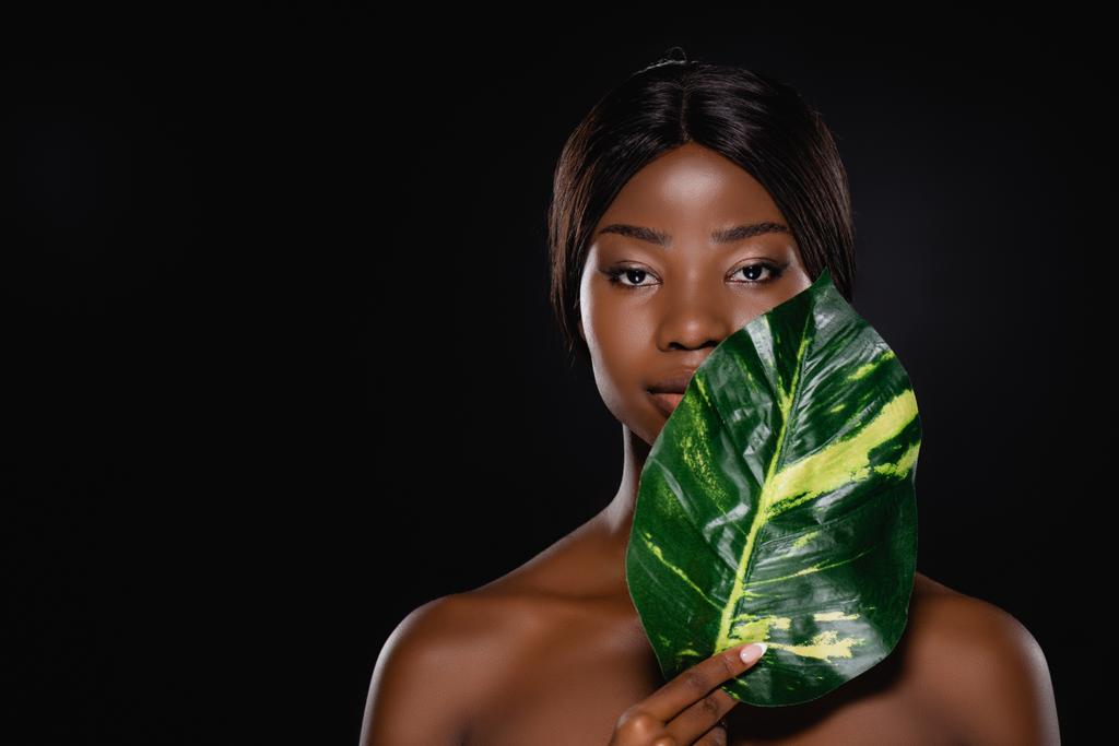Afrikaans amerikaanse naakte vrouw met groen exotisch blad geïsoleerd op zwart - Foto, afbeelding