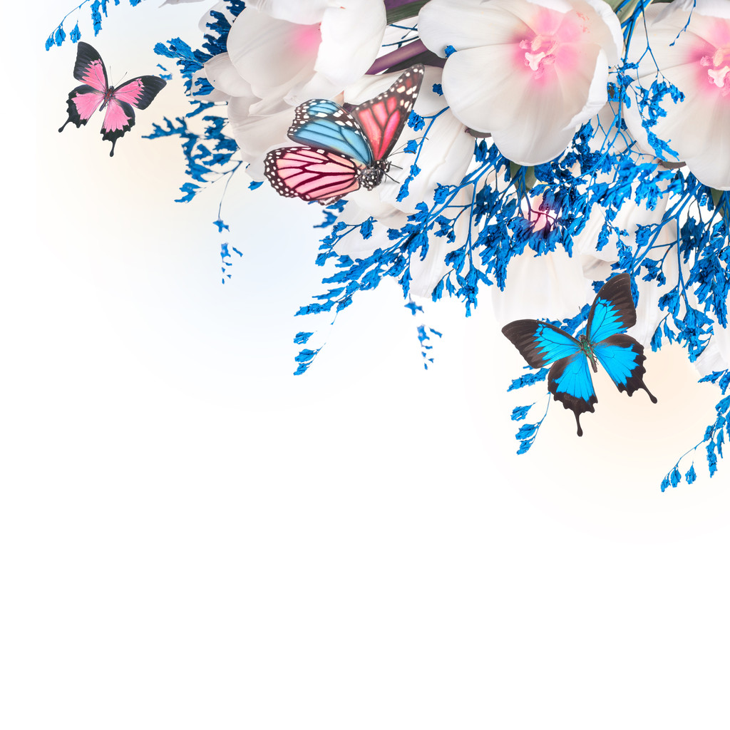 Valkoinen tulppaanit sininen ruoho ja perhonen
 - Valokuva, kuva