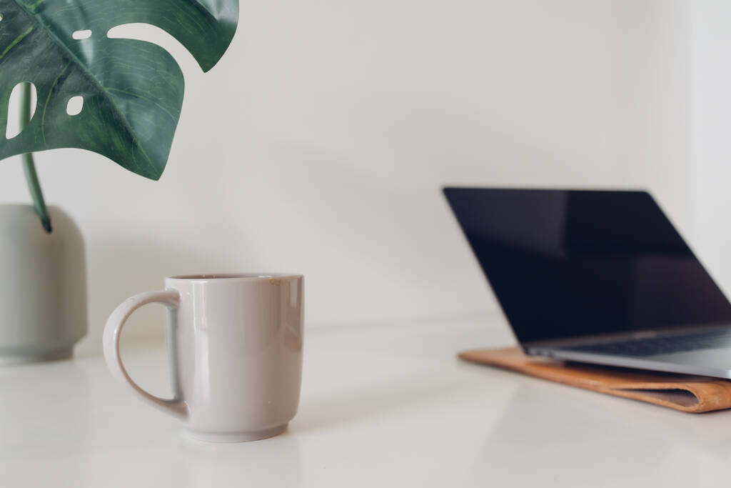 Мінімальний робочий простір ноутбука з прикрасою рослин та кавою
. - Фото, зображення