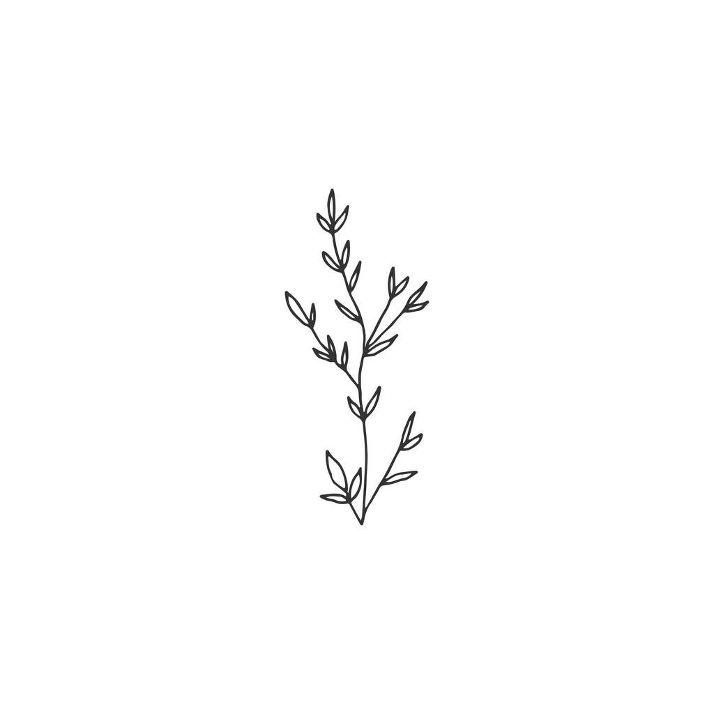Icono floral simple dibujado a mano. Ilustración vectorial. Una silueta de rama con hojas. - Vector, imagen