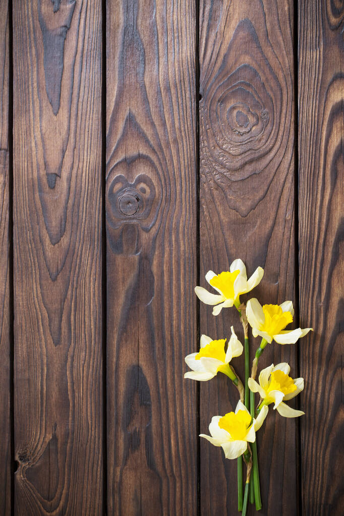 κίτρινος νάρκισσος σε σκούρο ξύλινο φόντο - Φωτογραφία, εικόνα
