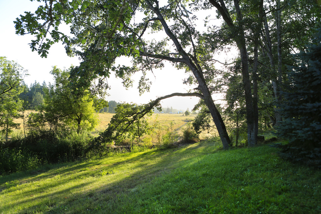 Morning countryside landscape - Photo, Image