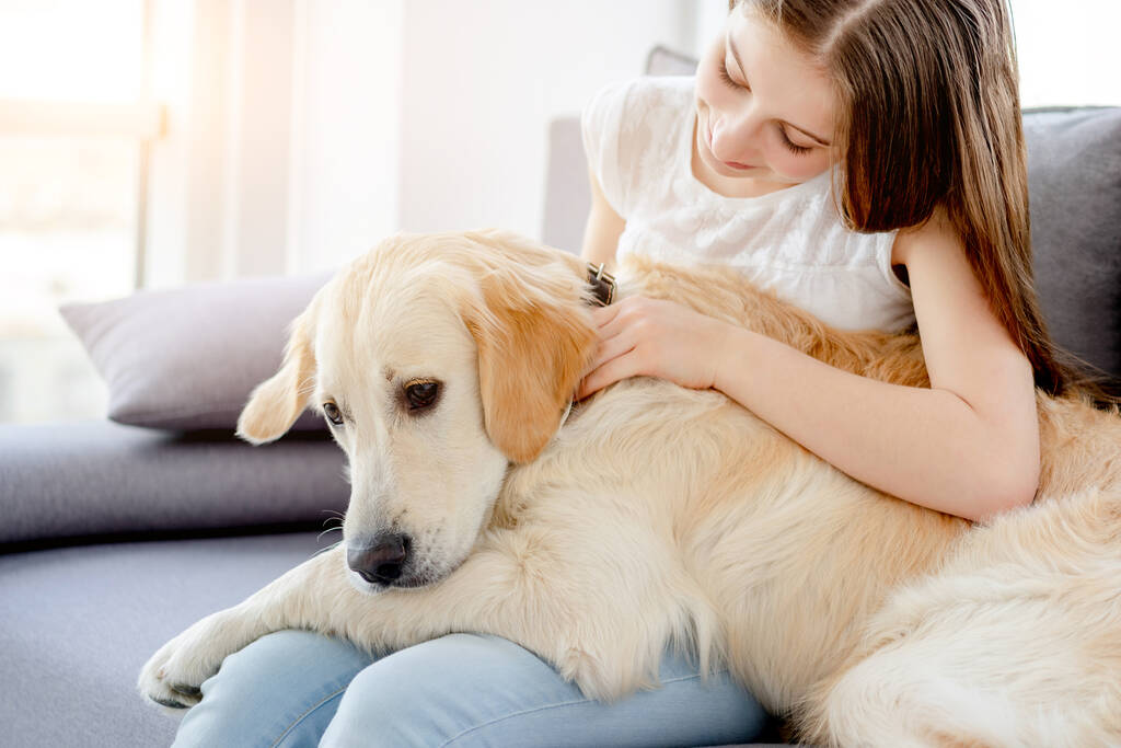 Sladká dívka drží roztomilý pes - Fotografie, Obrázek