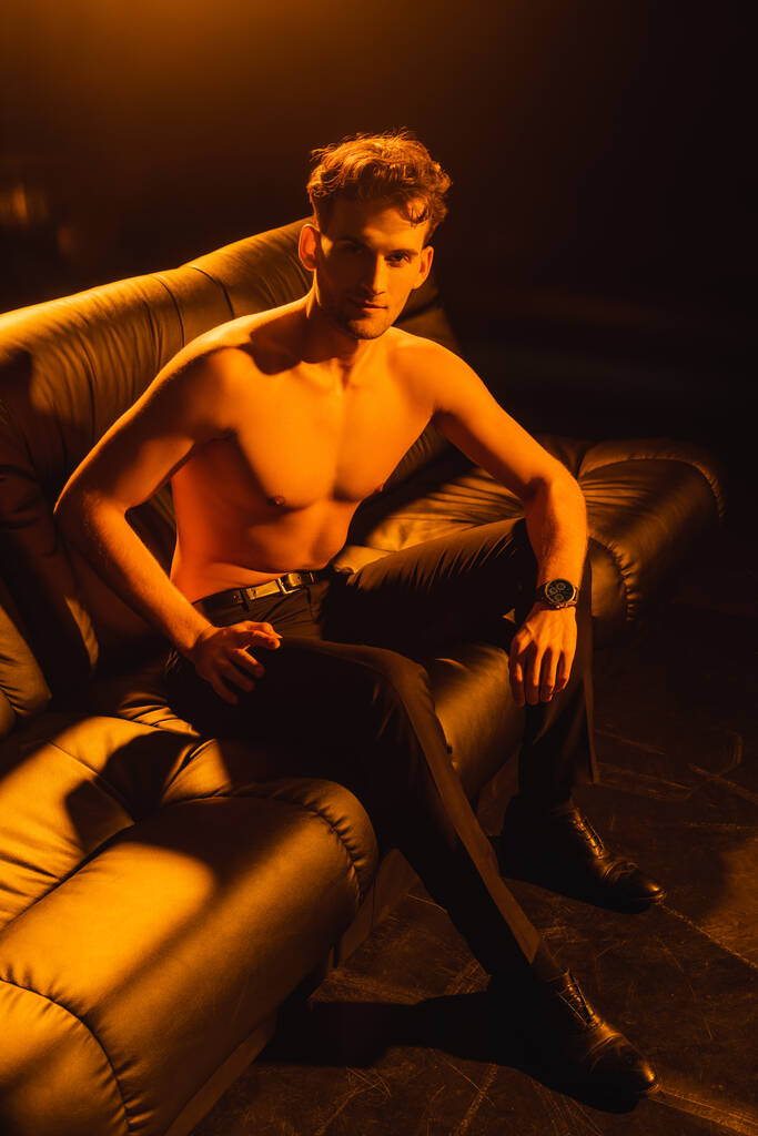 shirtless man looking at camera while sitting on sofa of black  - Photo, Image