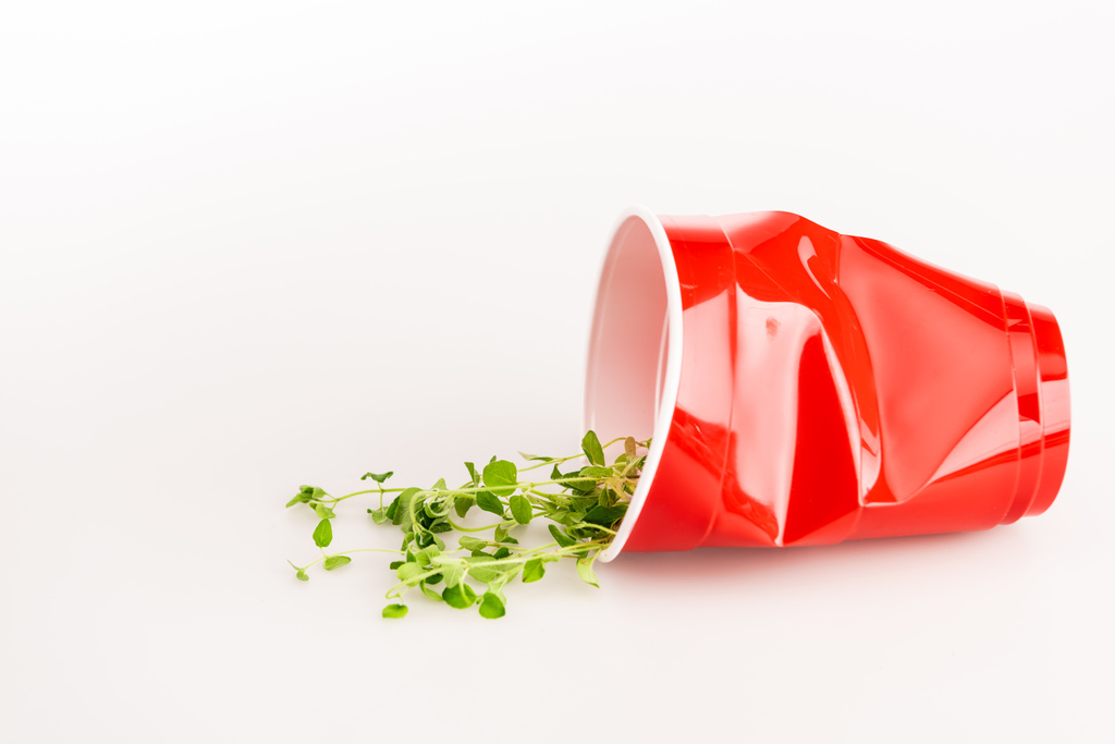 taza desechable rojo y planta verde sobre fondo blanco - Foto, Imagen