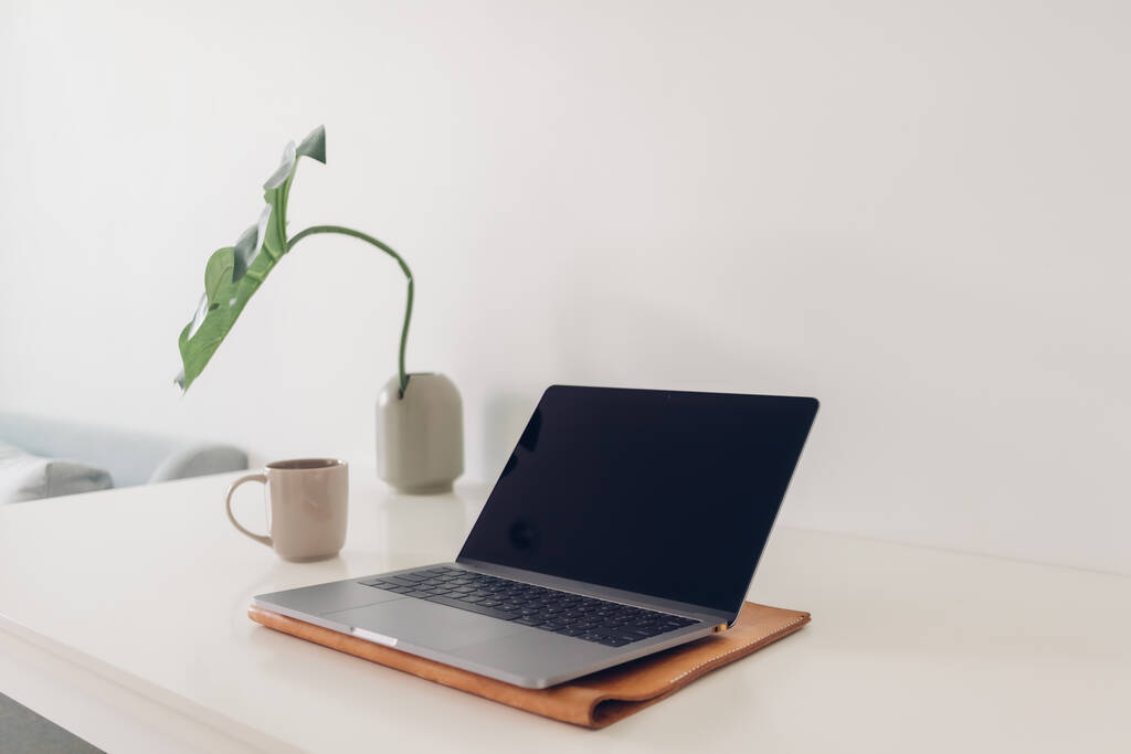 Minimální pracovní prostor pro notebook s výzdobou rostlin a kávou. - Fotografie, Obrázek