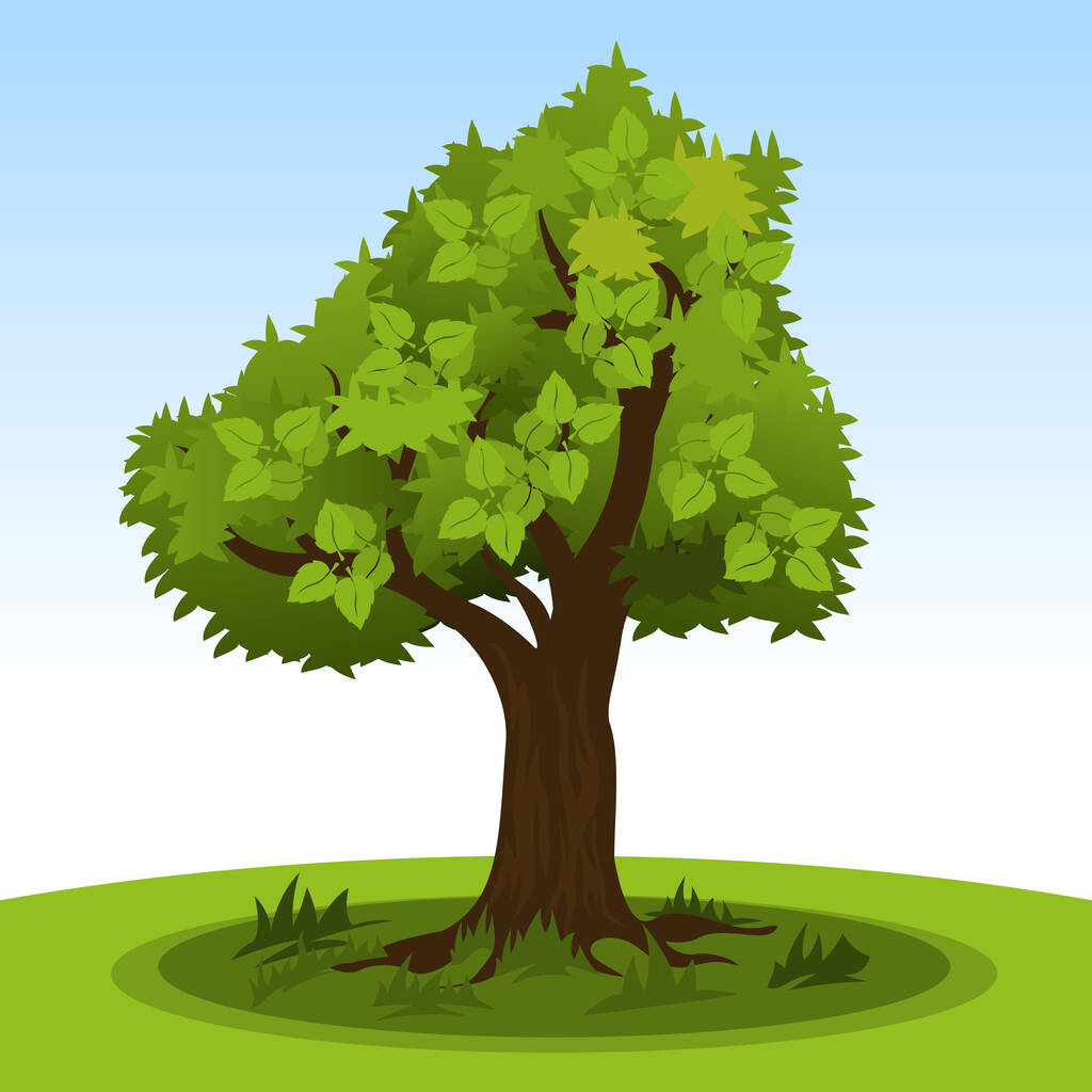 Летнее дерево с зелеными листьями - Вектор,изображение