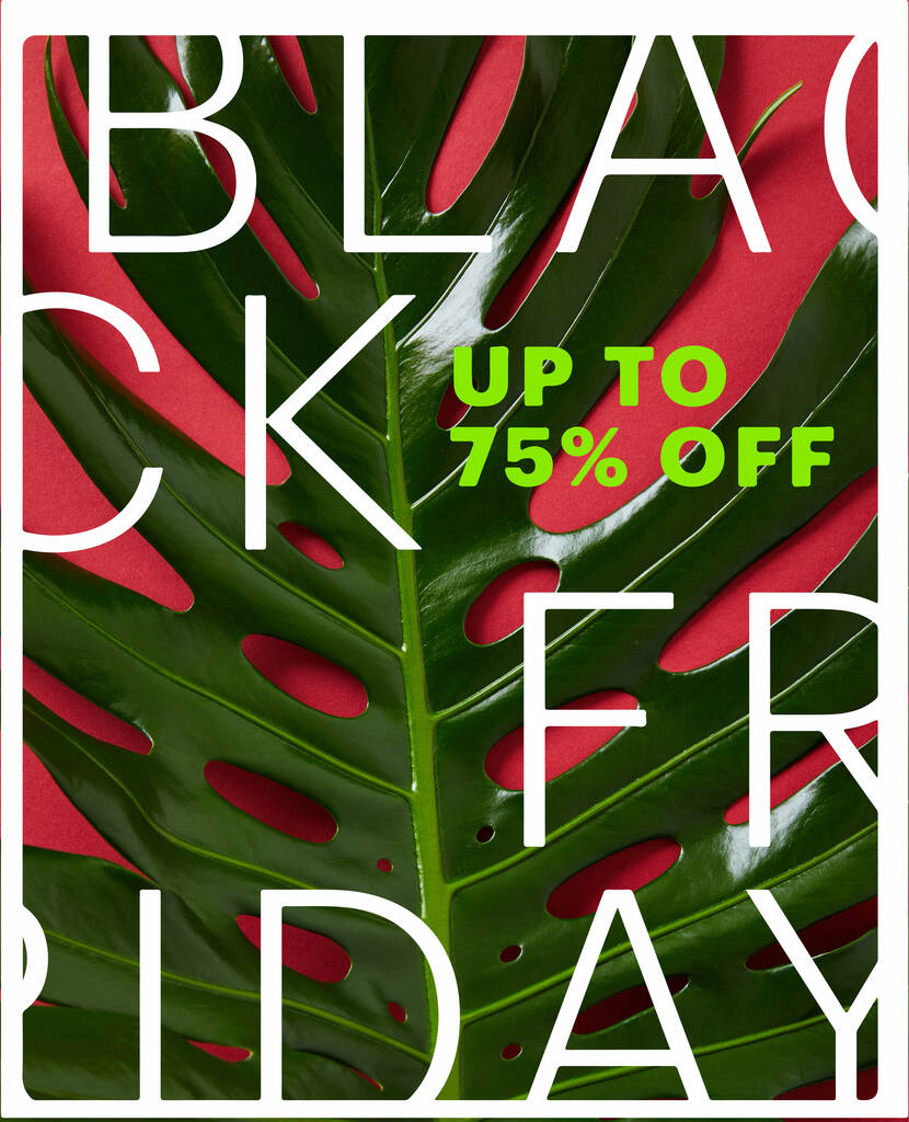 top view of tropical green leaf on red background with black Friday sale illustration - Photo, Image