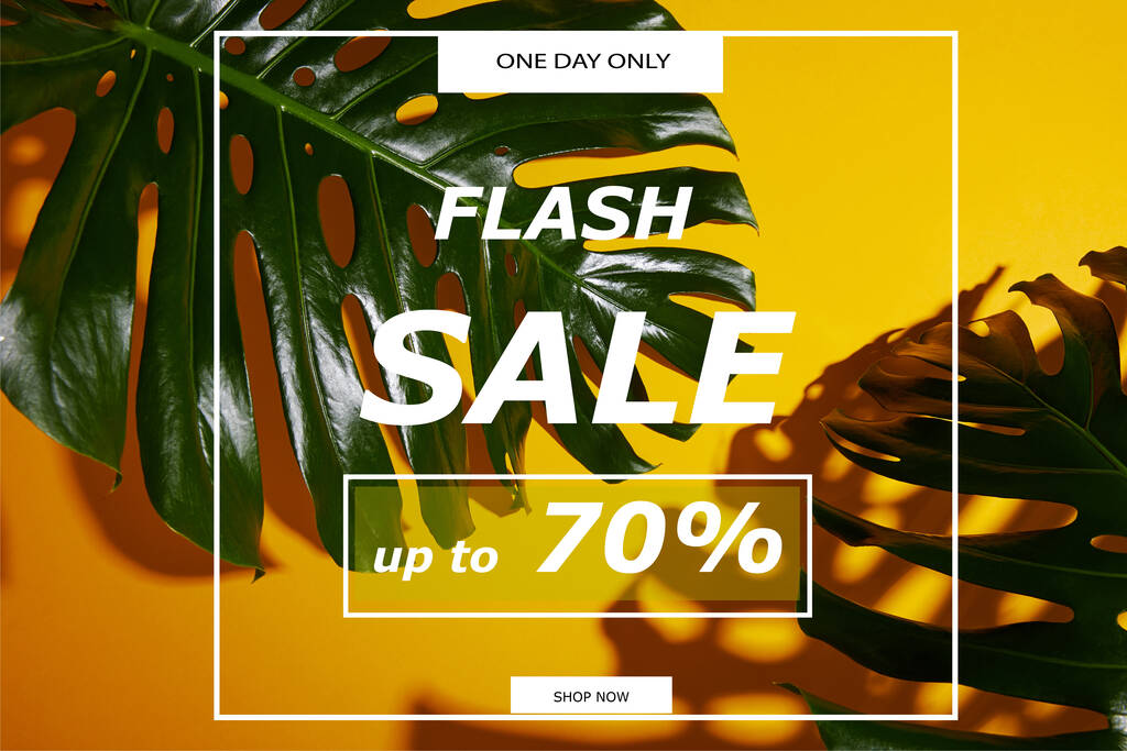 vista dall'alto di foglie verdi tropicali su sfondo giallo con flash vendita illustrazione - Foto, immagini