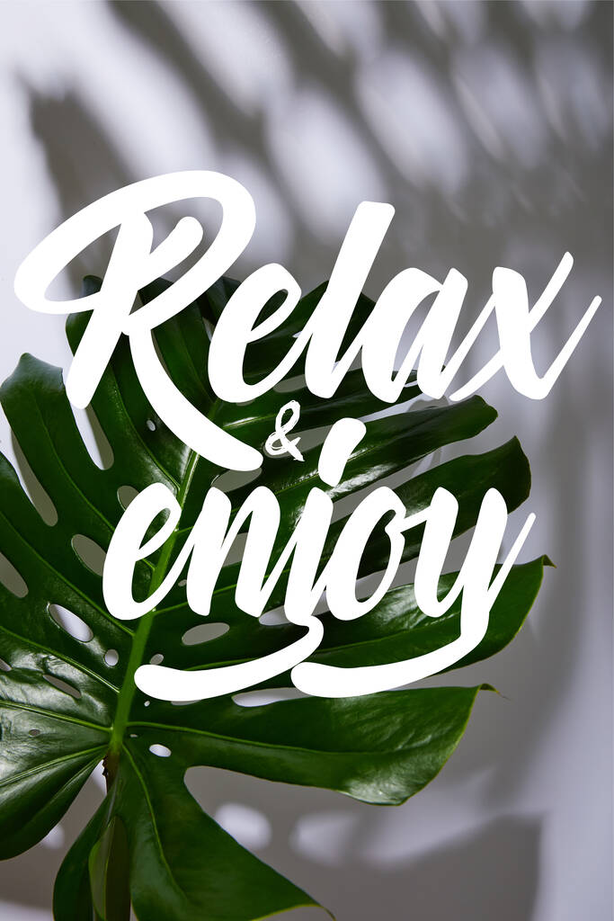 fresh tropical green leaf on white background with relax and enjoy illustration - Photo, Image