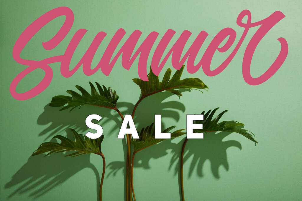 fresh tropical green leaves on green background with summer sale illustration - Photo, Image
