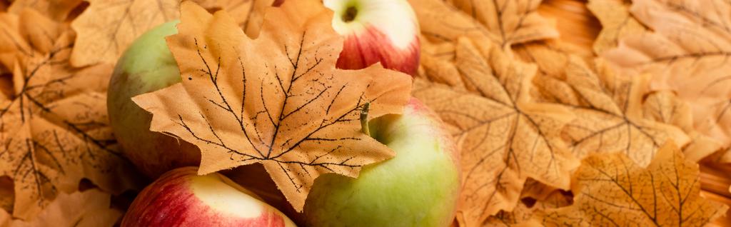 熟したおいしいリンゴと秋の葉の選択的な焦点パノラマショット - 写真・画像