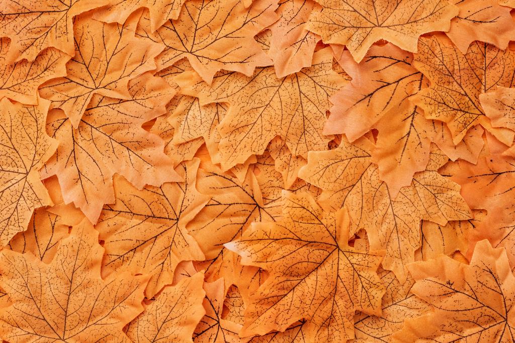 вид зверху на золотий осінній фон листя
 - Фото, зображення