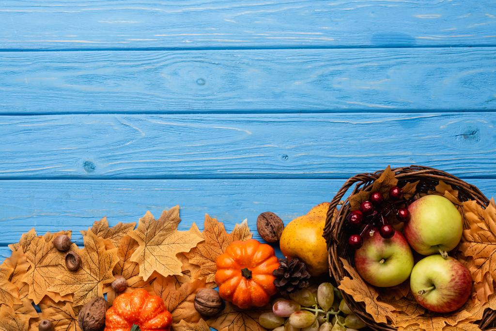 top view of autumnal harvest in basket and foliage on blue wooden background - Photo, Image