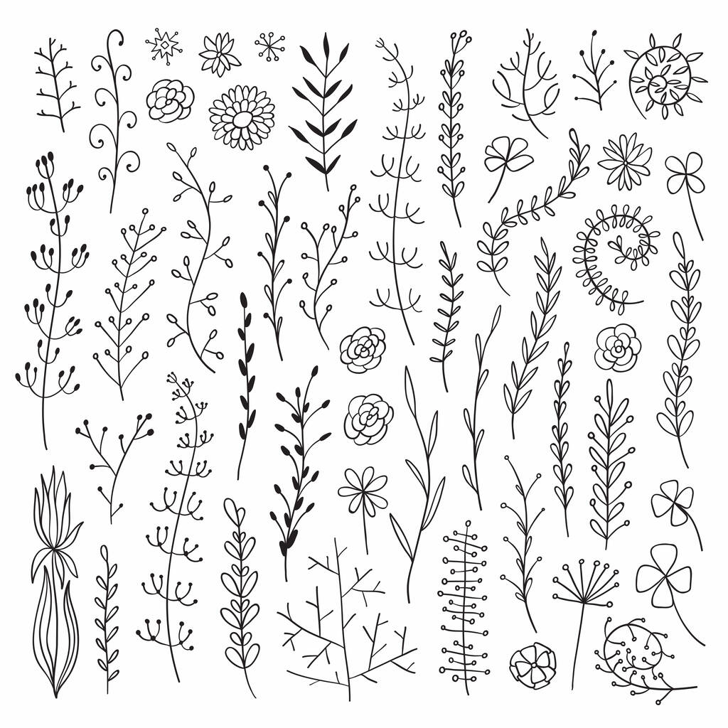 Set di elementi botanici disegnati a mano vettoriale. Collezione di erbe monocromatiche. Buon per l'invito di nozze, biglietto di compleanno, design della pagina web. - Vettoriali, immagini