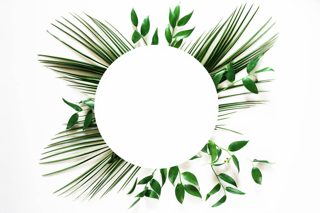 Тропический зеленый лист круга рамка на белом фоне - Фото, изображение