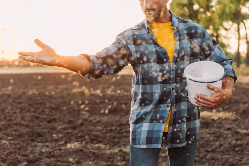 oříznutý pohled na farmáře v kostkované košili výsev semen na oraném poli - Fotografie, Obrázek