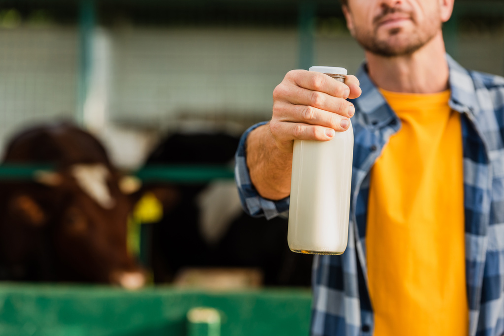 vista cortada do fazendeiro em camisa quadriculada mostrando garrafa de leite fresco, foco seletivo - Foto, Imagem
