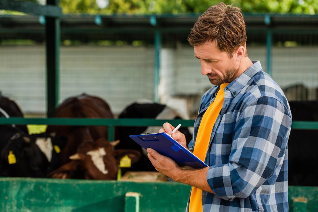 rancher σε καρό πουκάμισο γράφοντας στο πρόχειρο κοντά cowshed σε αγρόκτημα - Φωτογραφία, εικόνα