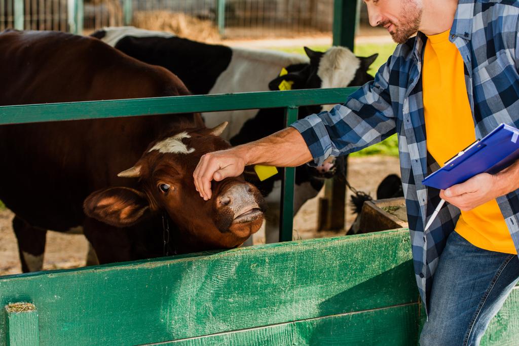 vista recortada de ranchero con portapapeles tocando la cabeza de vaca en la granja - Foto, Imagen