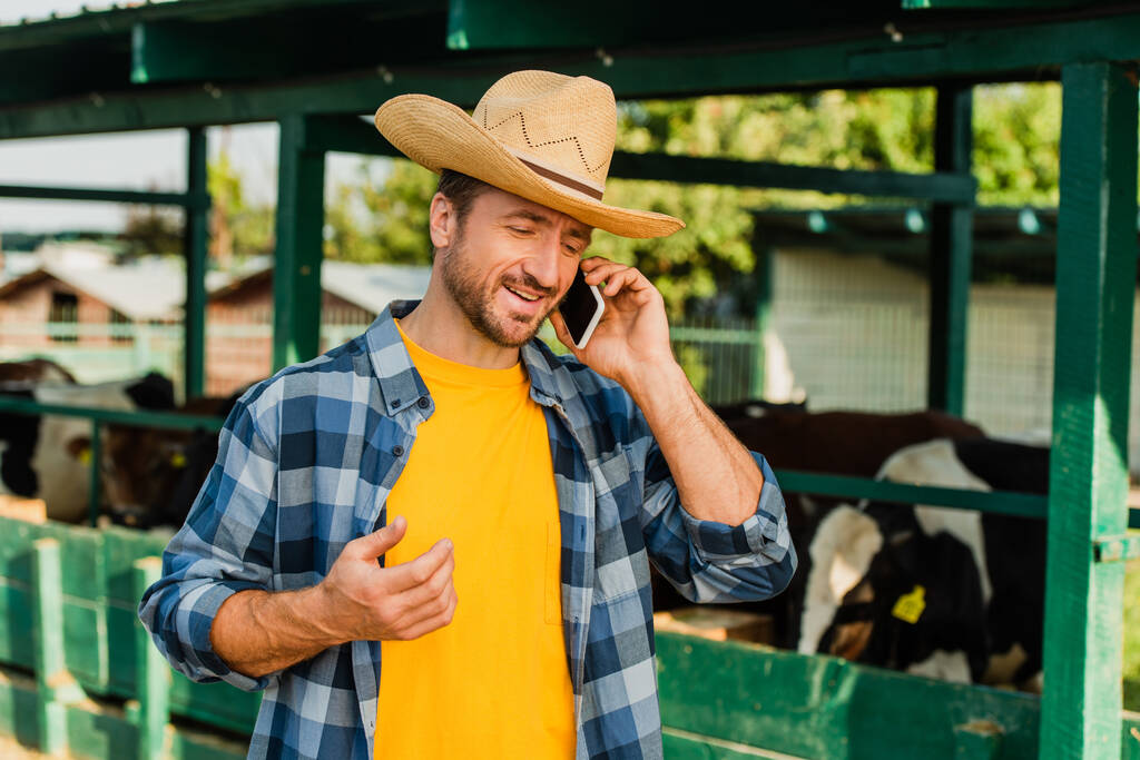草むらの帽子を被った農民と農場の牛小屋の近くのスマートフォンで話している小切手のシャツ - 写真・画像